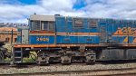 FCA 3905